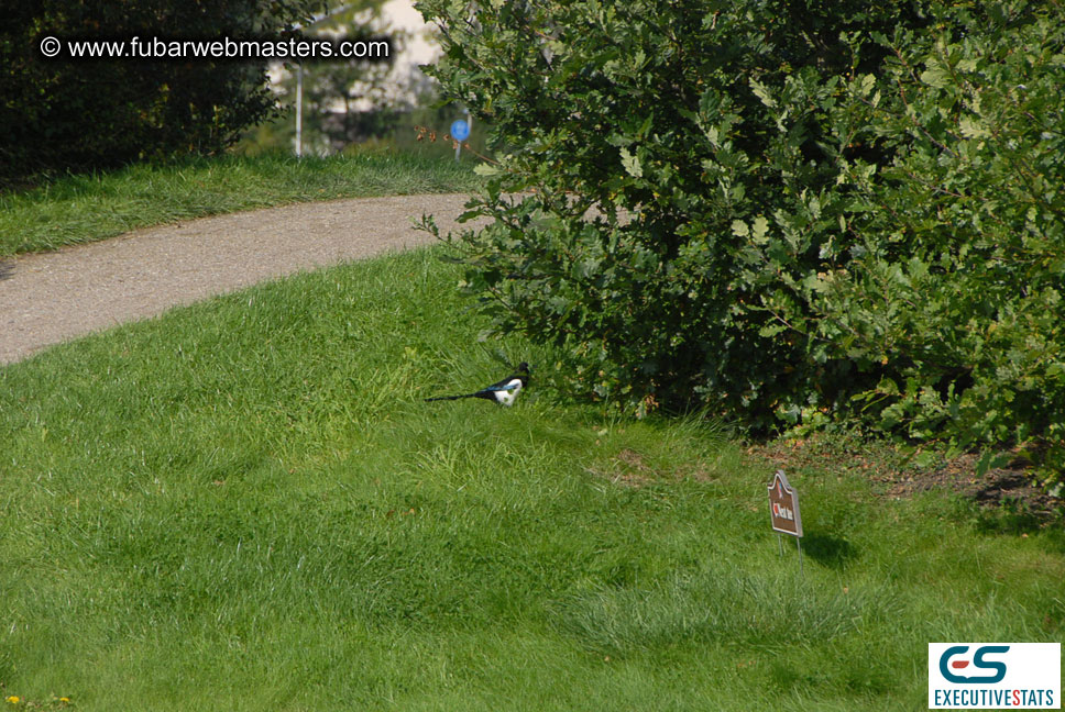 1st Annual Amsterdam Golf Tournament