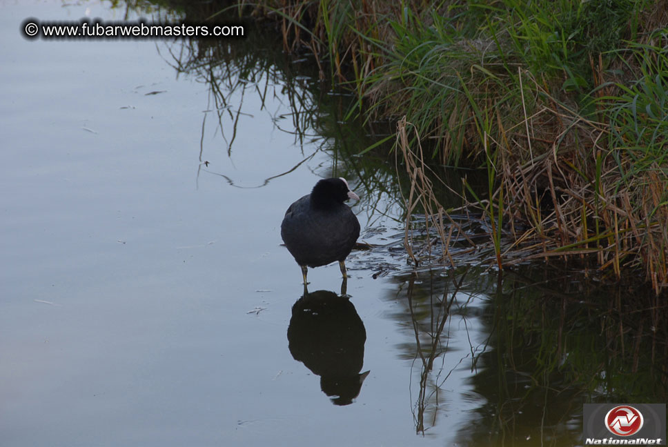 1st Annual Amsterdam Golf Tournament