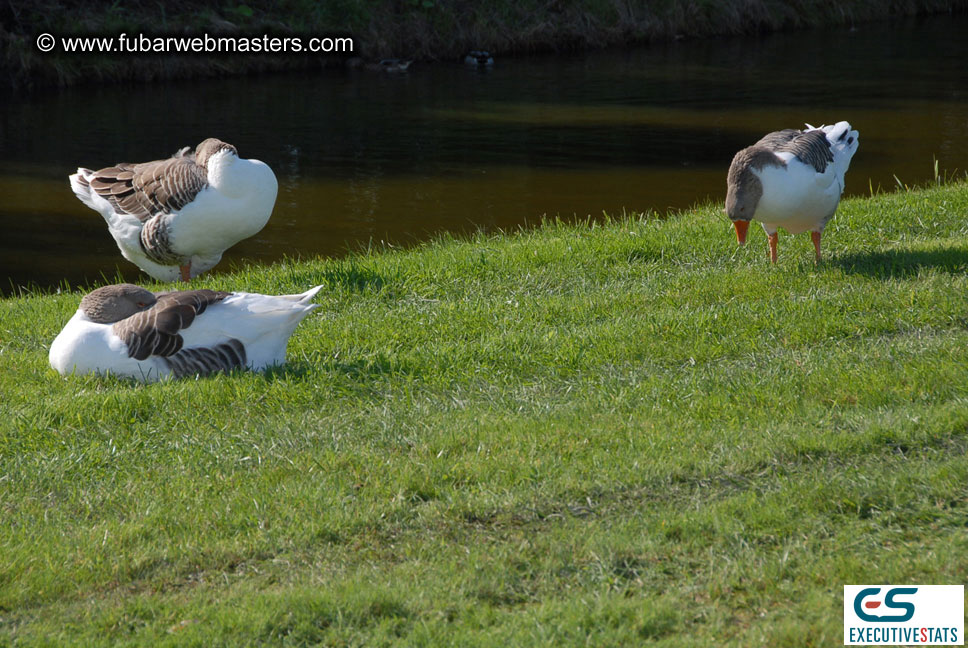 1st Annual Amsterdam Golf Tournament