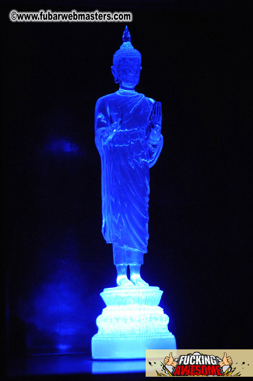 AVN Presents the OFFICIAL Party