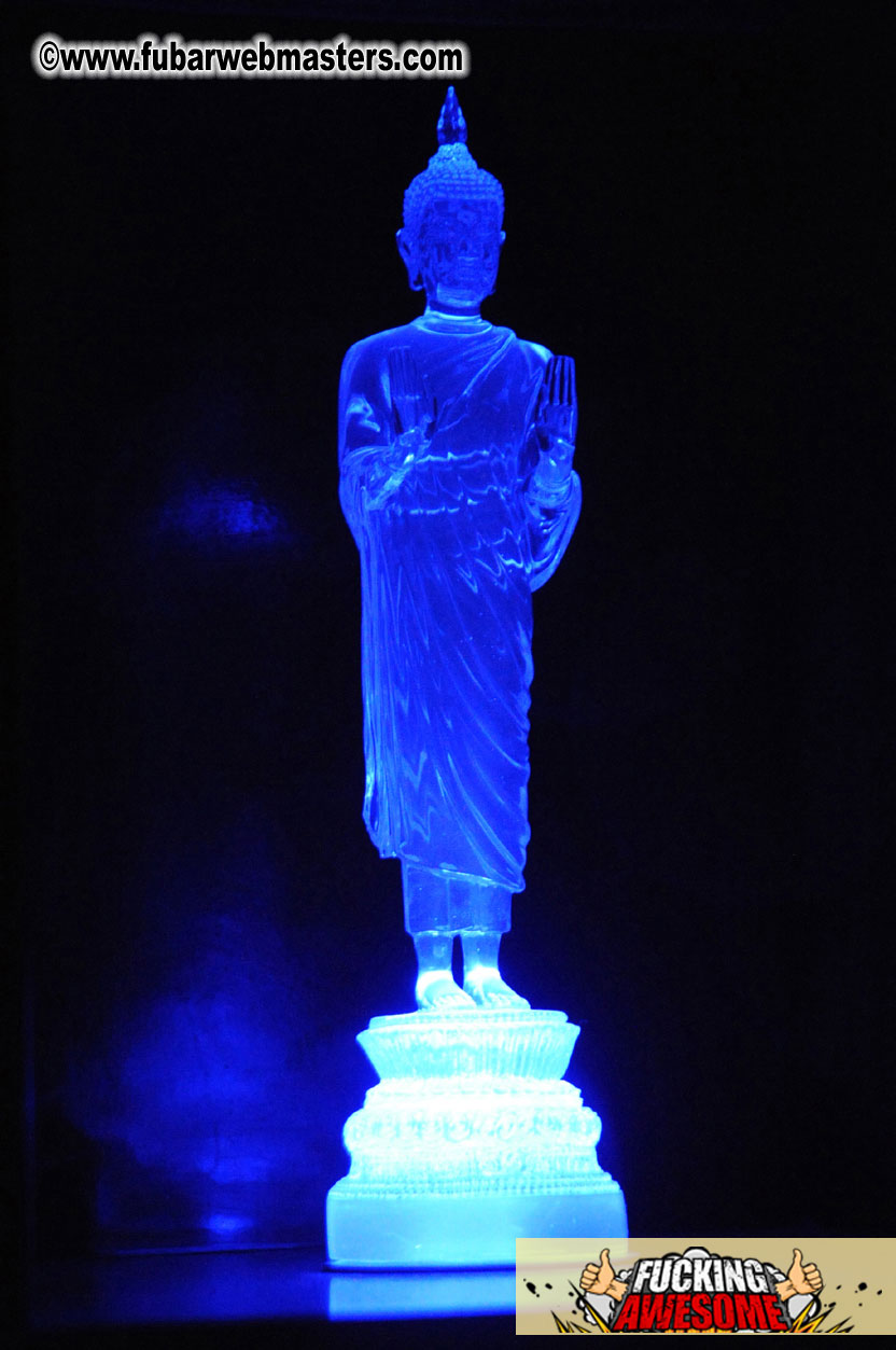 AVN Presents the OFFICIAL Party