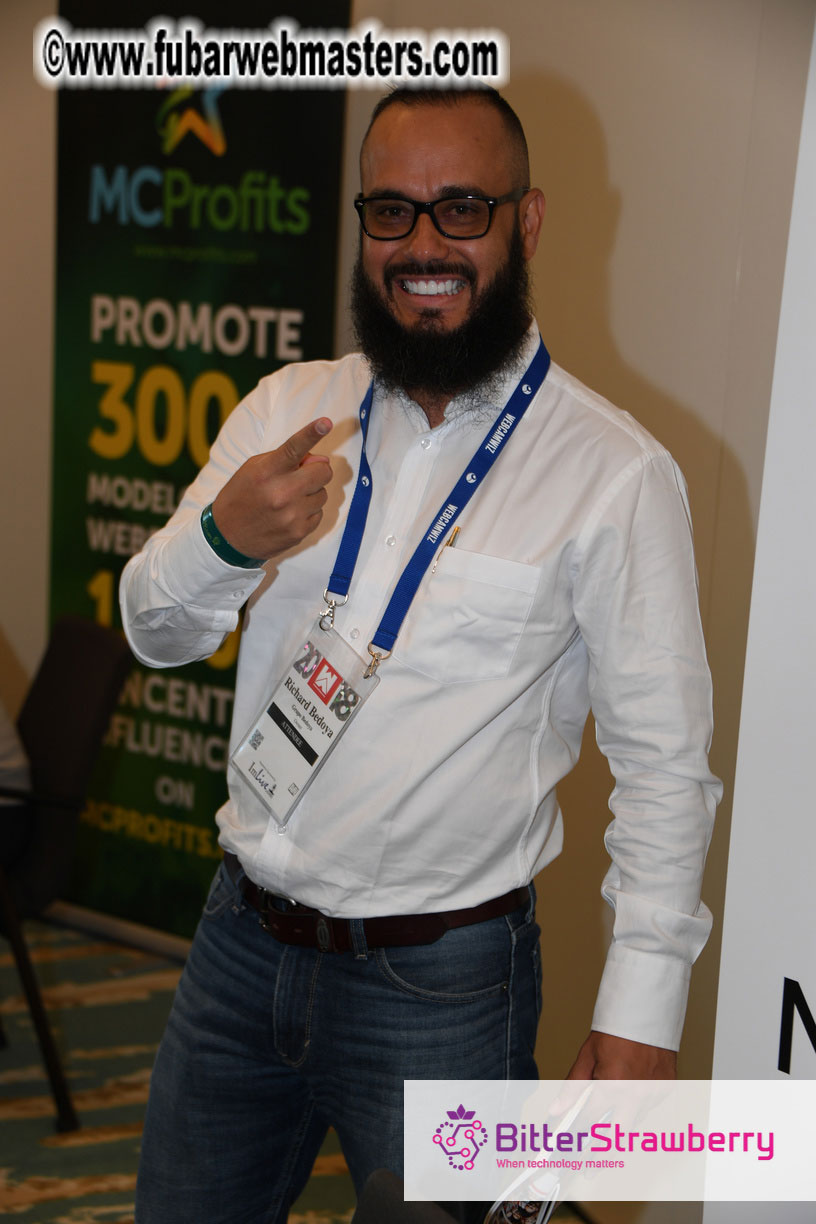 Webmaster Access 2018