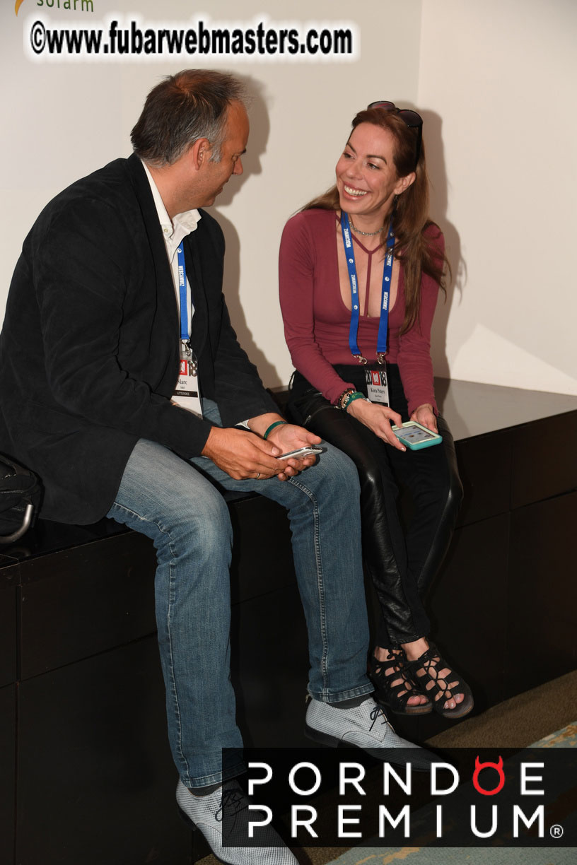 Webmaster Access 2018