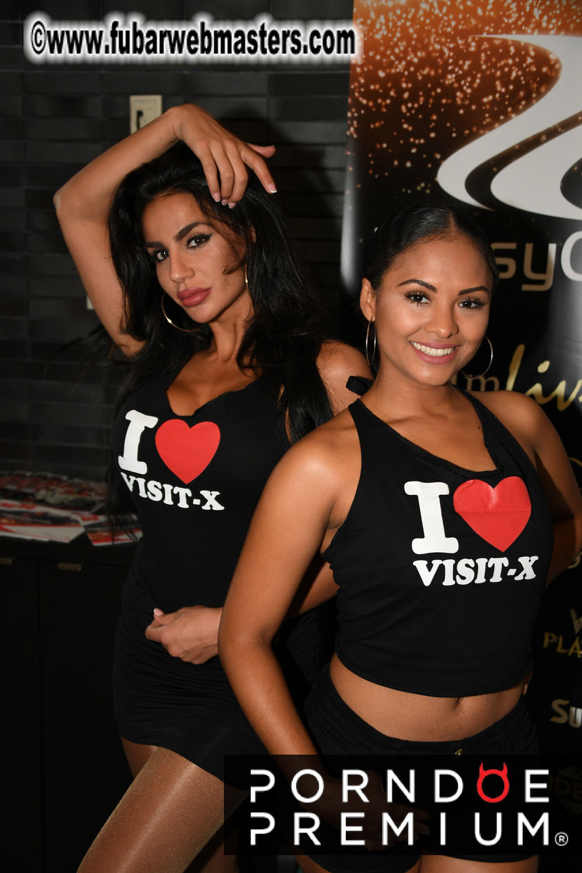 Webmaster Access 2018