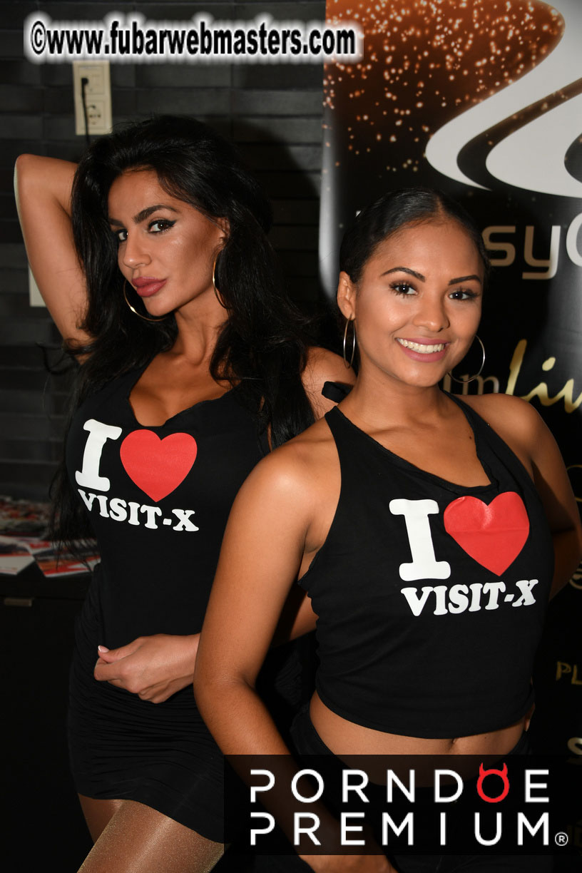 Webmaster Access 2018