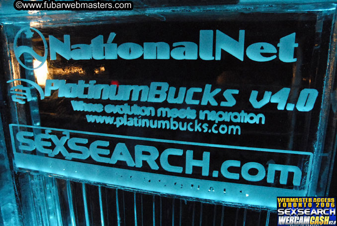 A Night Under the Stars