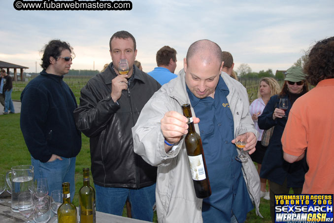 Tour of Niagra Falls and Area