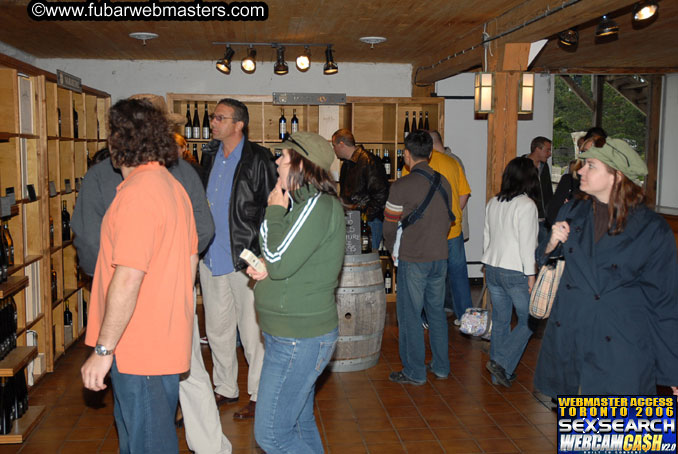 Tour of Niagra Falls and Area