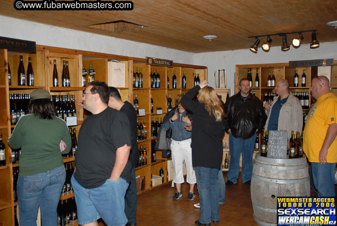 Tour of Niagra Falls and Area