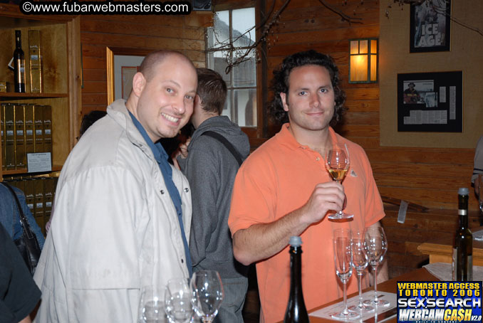 Tour of Niagra Falls and Area