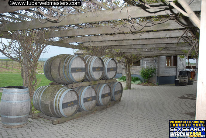 Tour of Niagra Falls and Area