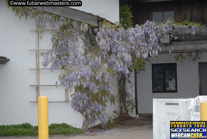 Tour of Niagra Falls and Area