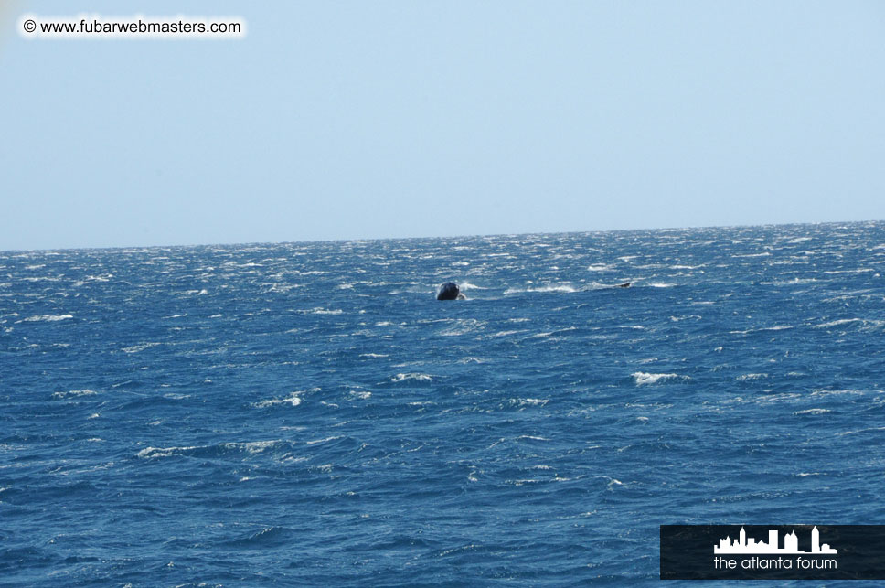 Sunset Dinner Cruise