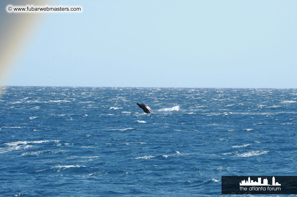 Sunset Dinner Cruise