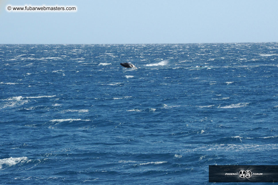 Sunset Dinner Cruise