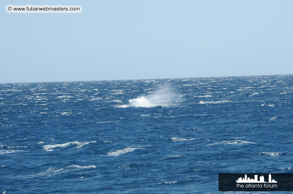 Sunset Dinner Cruise