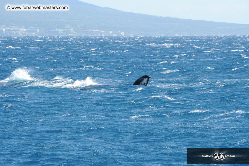 Sunset Dinner Cruise
