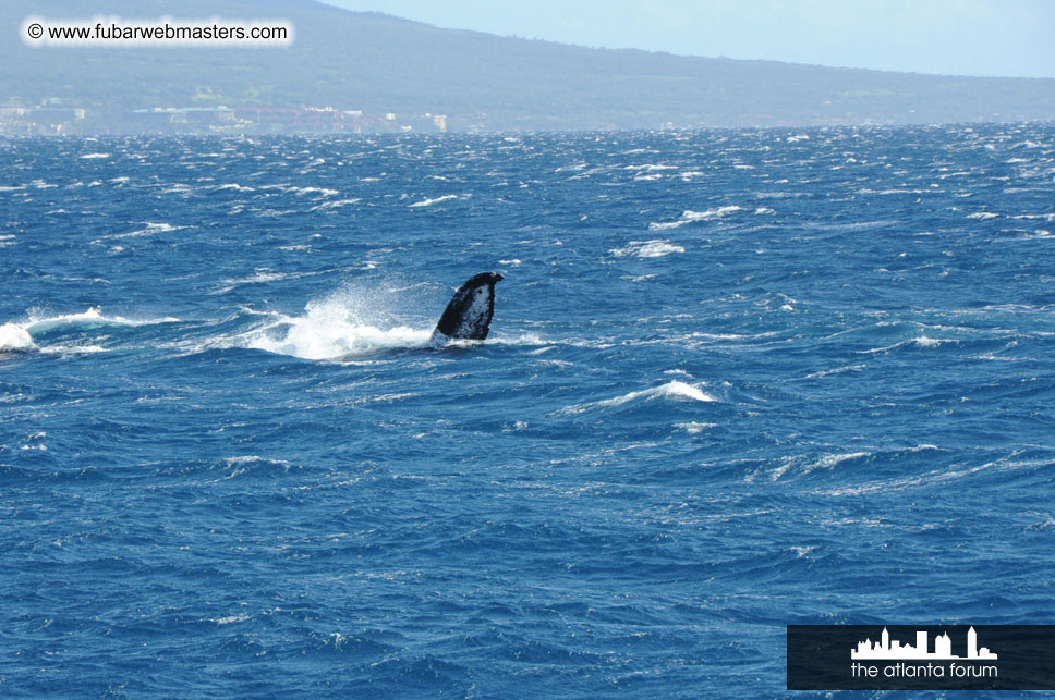 Sunset Dinner Cruise