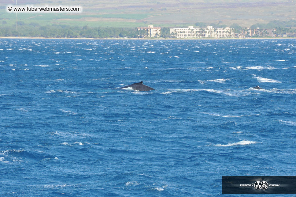 Sunset Dinner Cruise