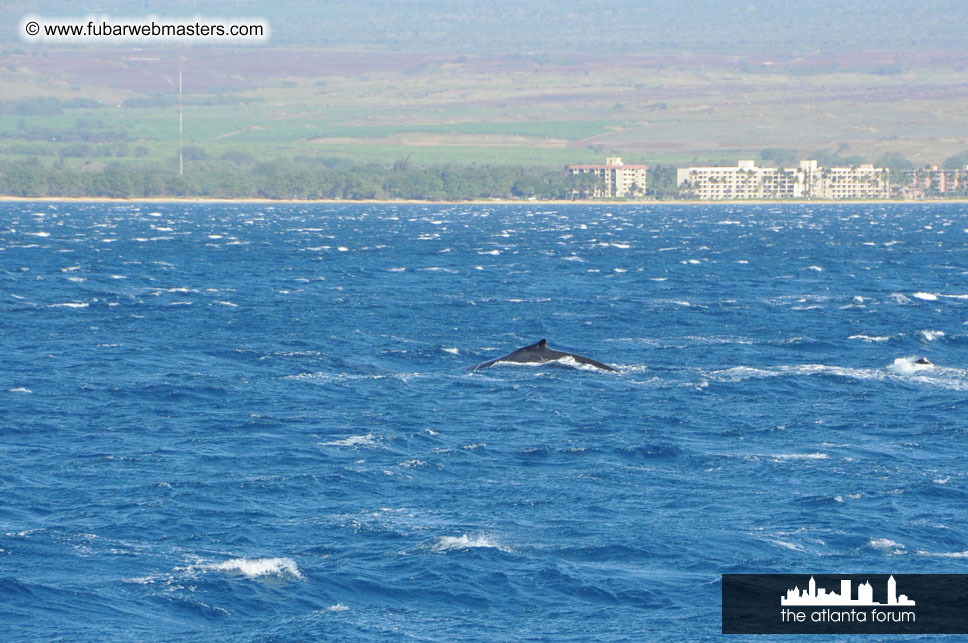 Sunset Dinner Cruise