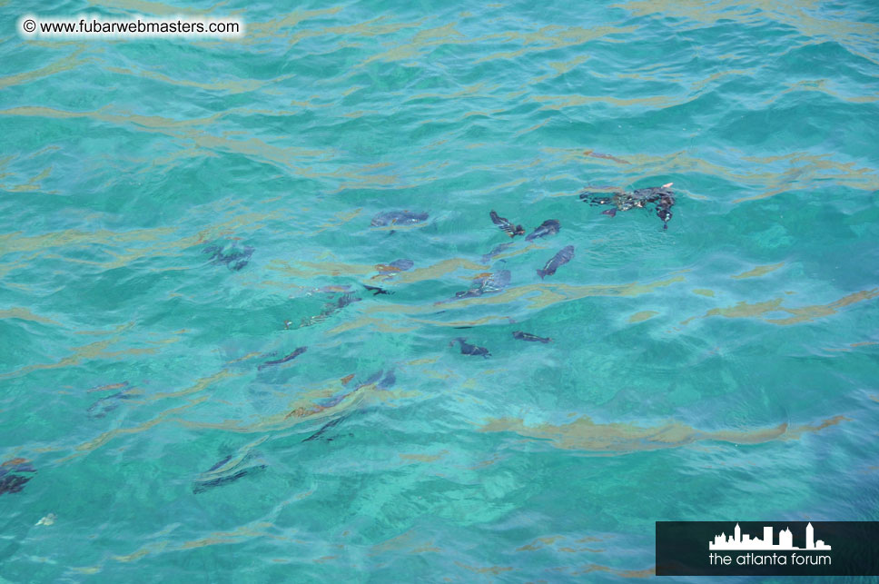 Sunset Dinner Cruise