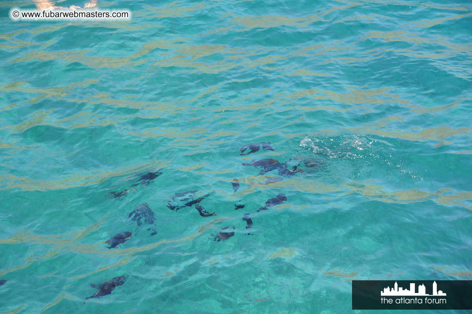 Sunset Dinner Cruise