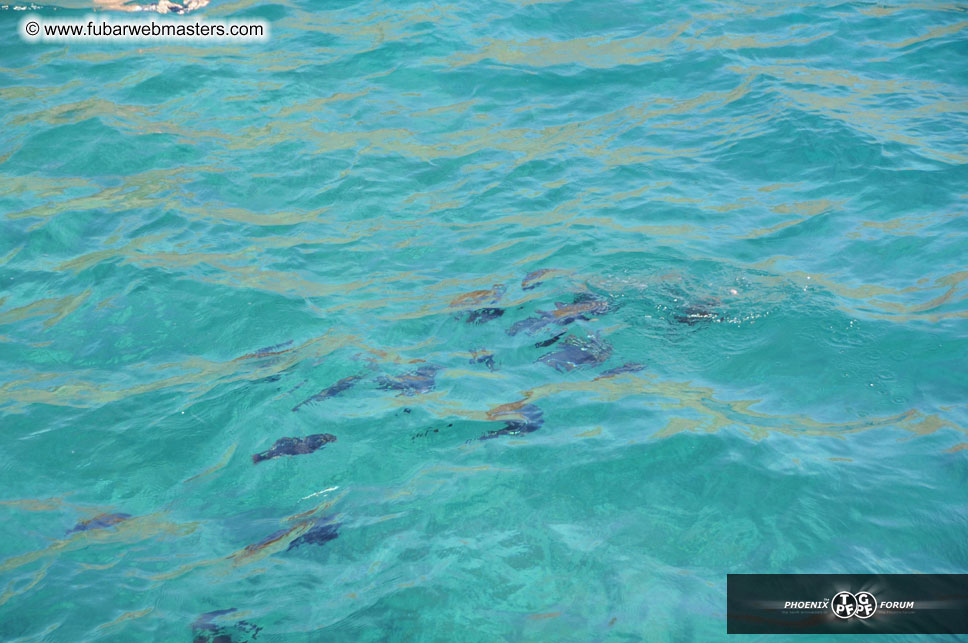 Sunset Dinner Cruise