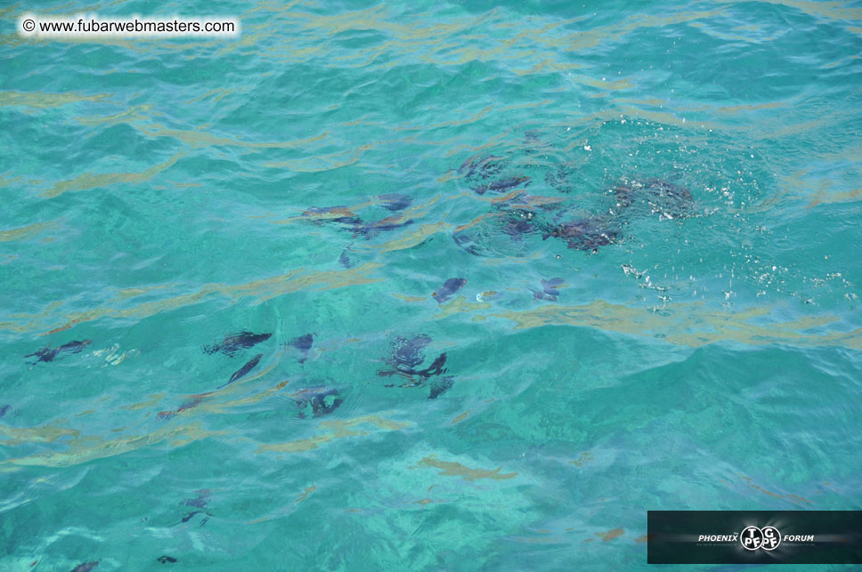 Sunset Dinner Cruise