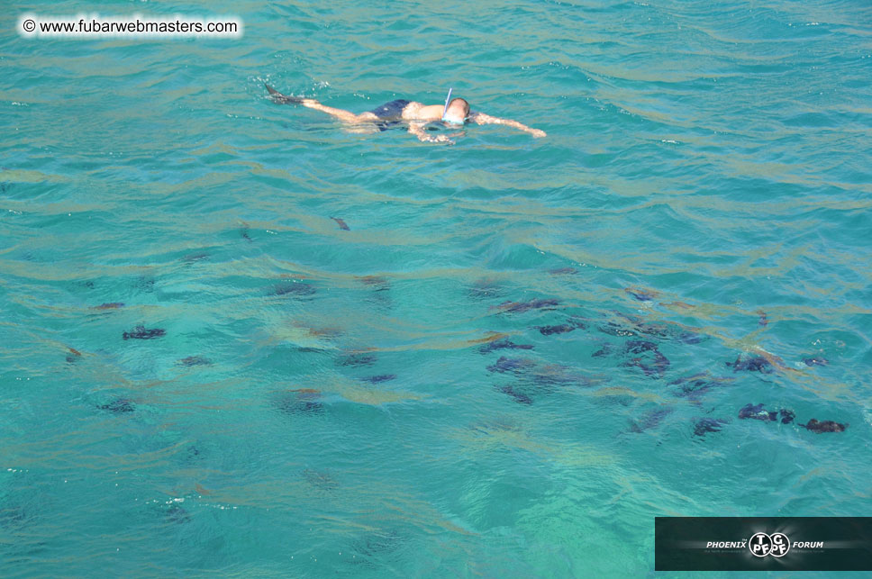 Sunset Dinner Cruise