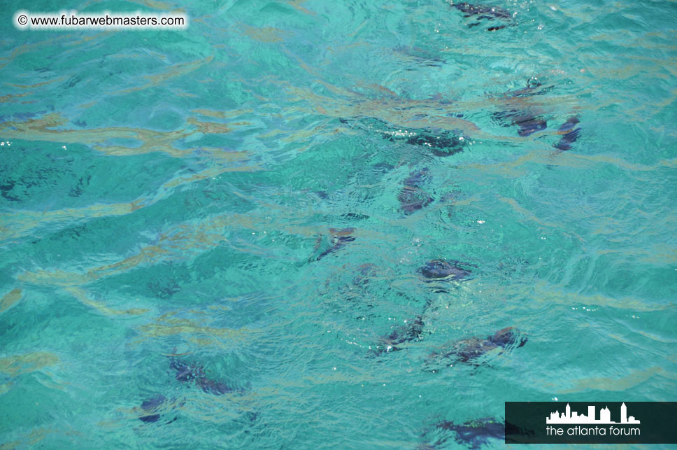 Sunset Dinner Cruise