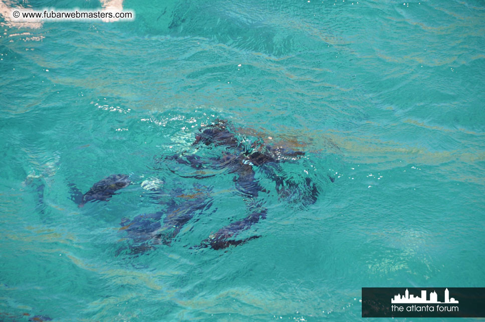 Sunset Dinner Cruise