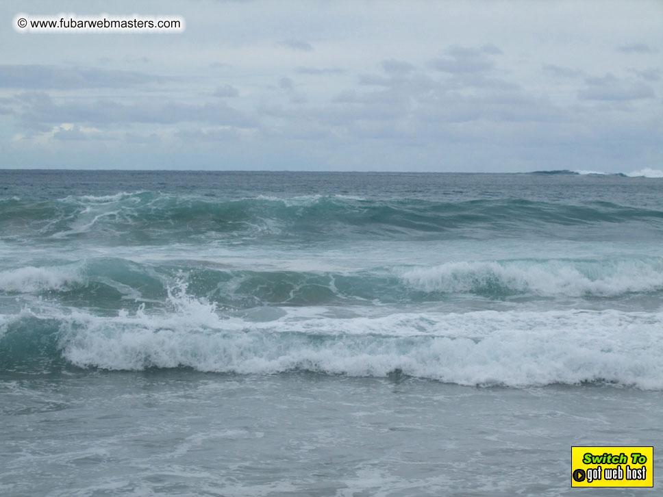 GoodGirl & Baddog's Hawaii Photos