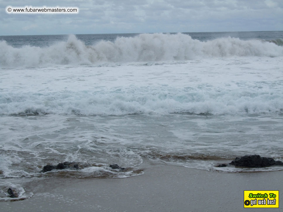 GoodGirl & Baddog's Hawaii Photos