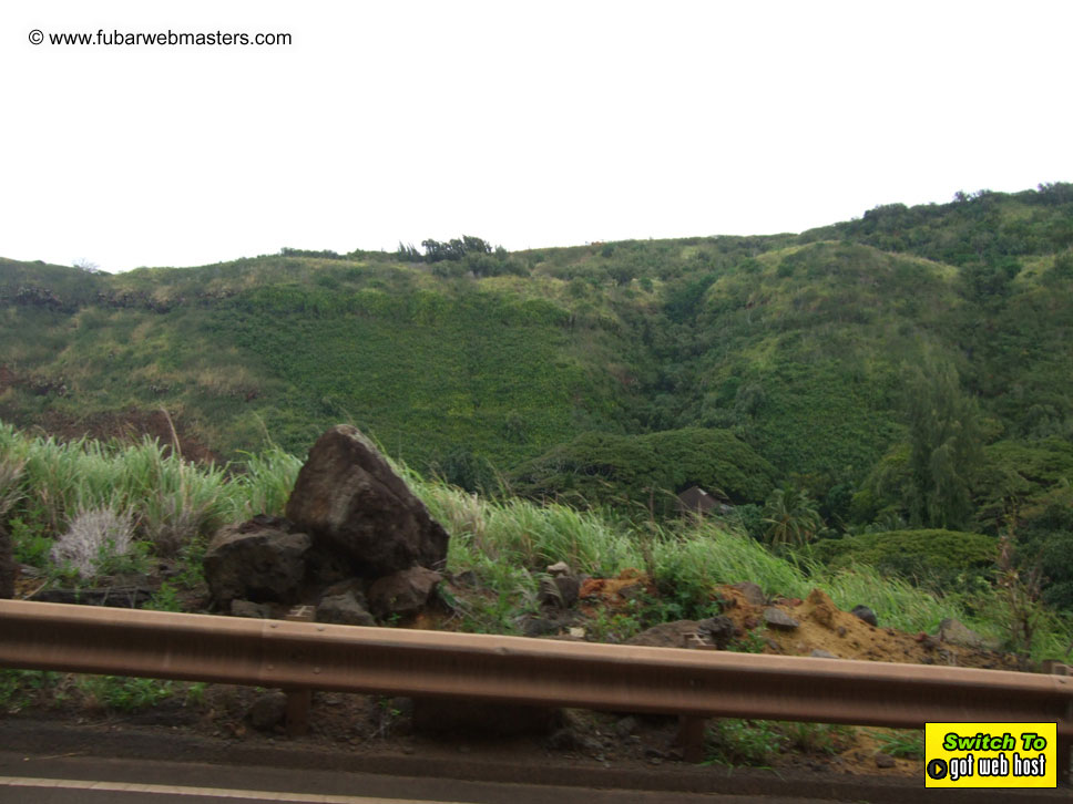 GoodGirl & Baddog's Hawaii Photos