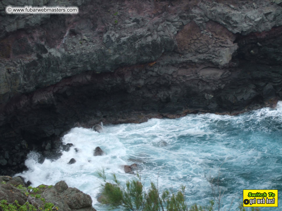 GoodGirl & Baddog's Hawaii Photos