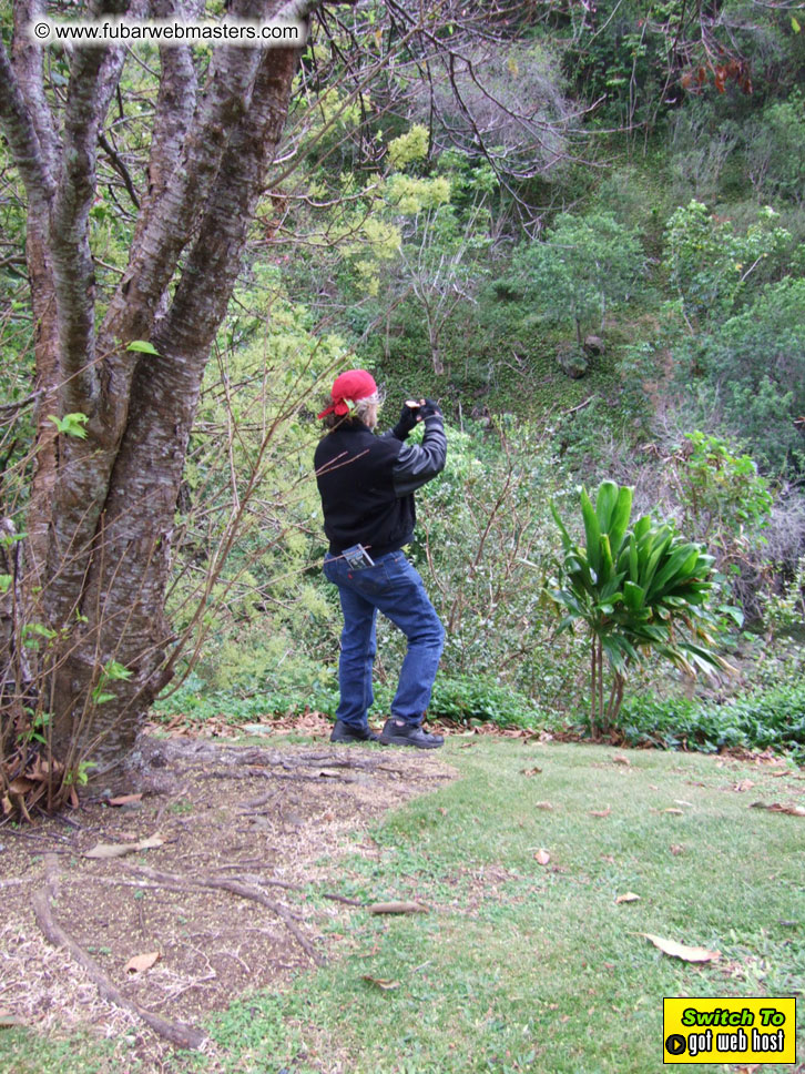 GoodGirl & Baddog's Hawaii Photos