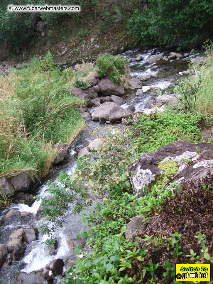 GoodGirl & Baddog's Hawaii Photos