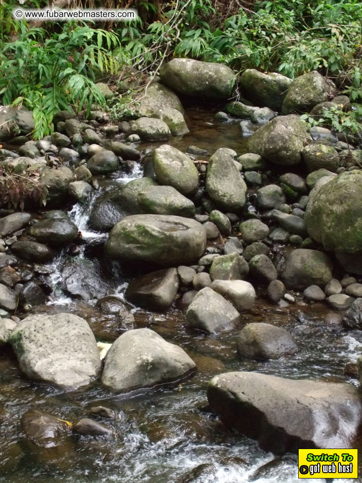 GoodGirl & Baddog's Hawaii Photos