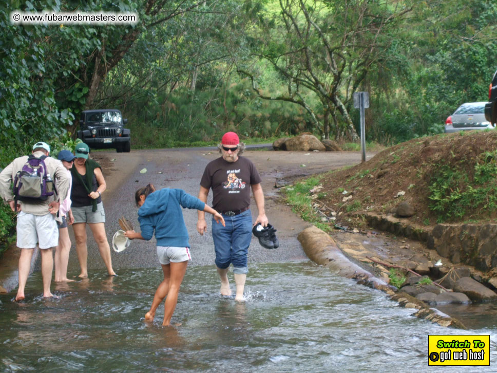 GoodGirl & Baddog's Hawaii Photos