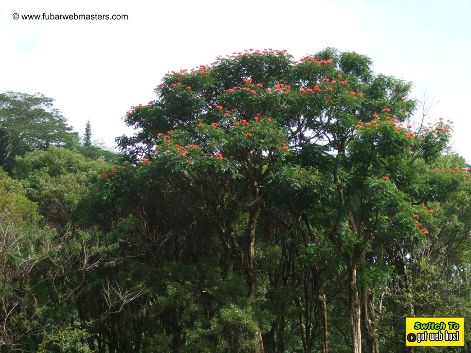 GoodGirl & Baddog's Hawaii Photos