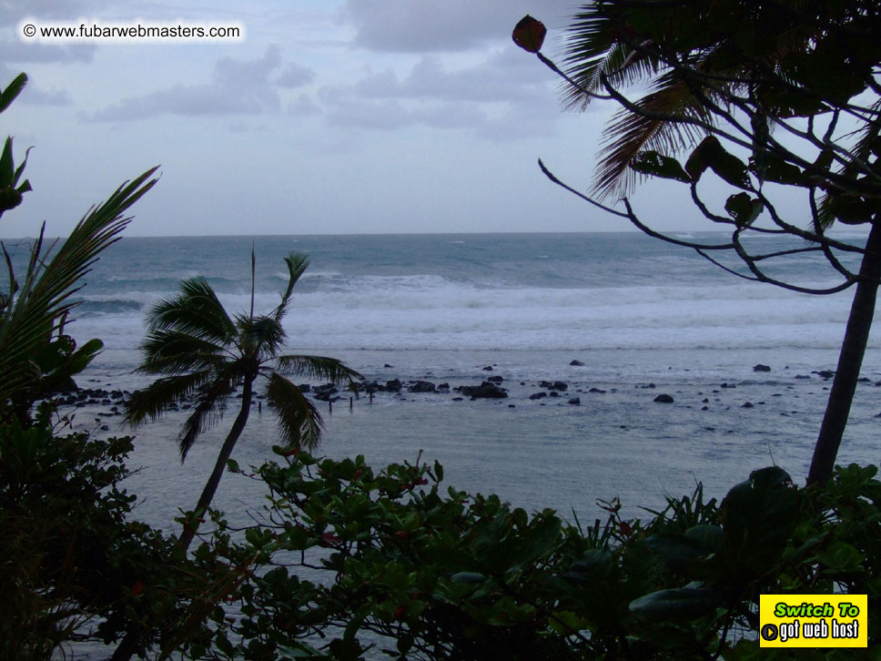 GoodGirl & Baddog's Hawaii Photos