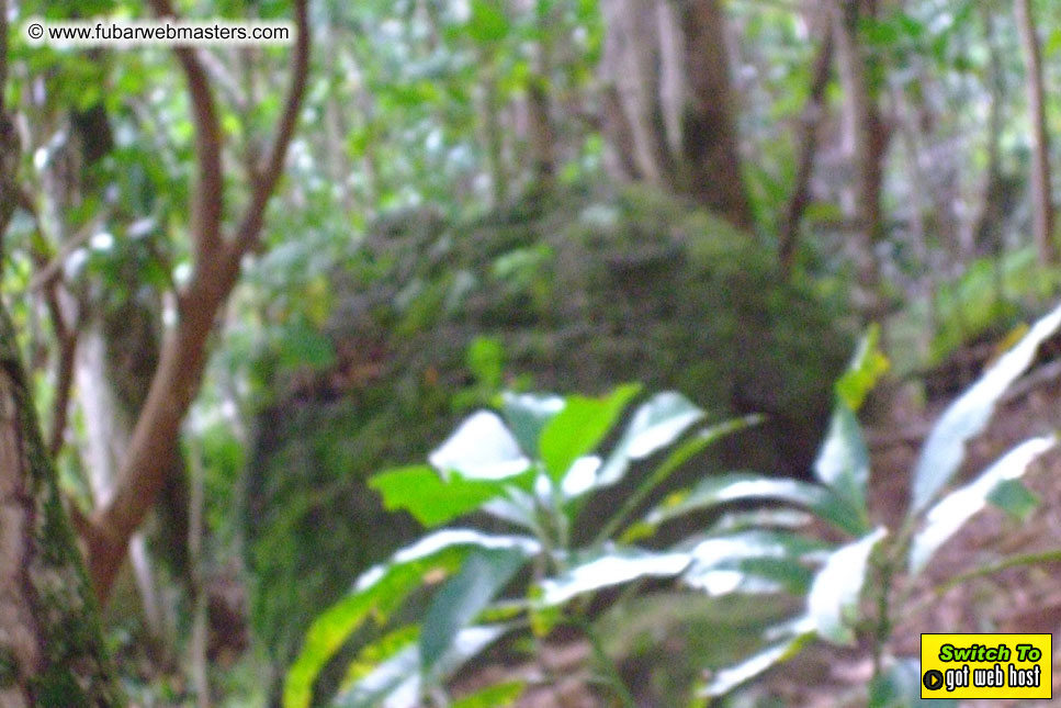 GoodGirl & Baddog's Hawaii Photos