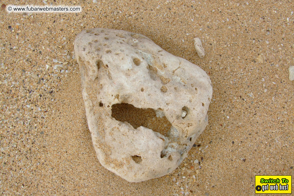 GoodGirl & Baddog's Hawaii Photos