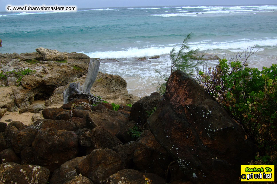 GoodGirl & Baddog's Hawaii Photos