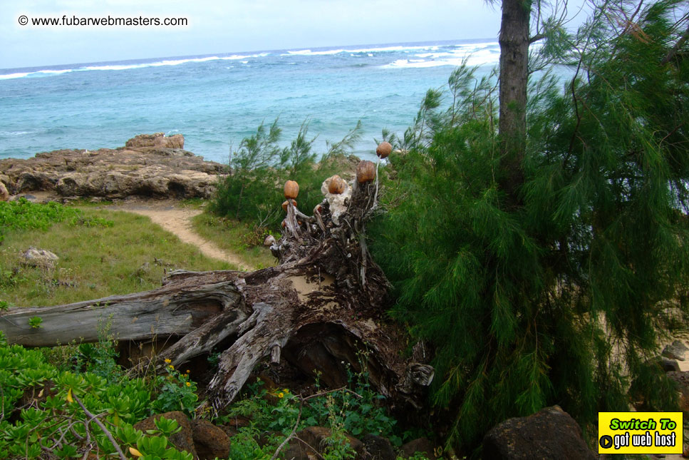 GoodGirl & Baddog's Hawaii Photos