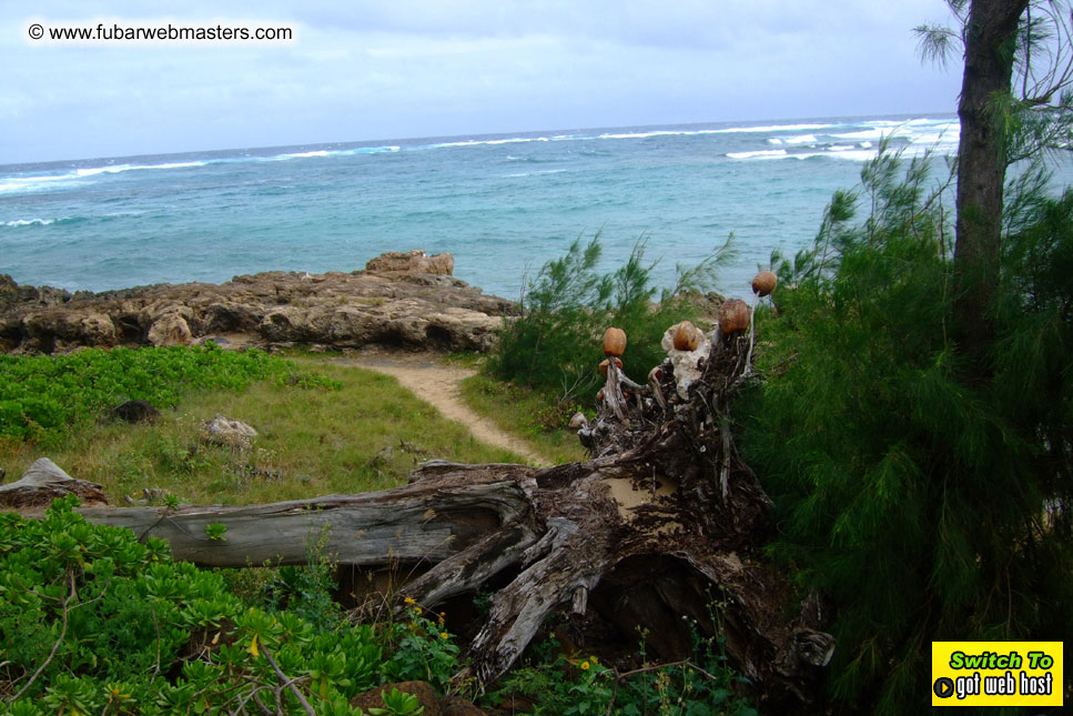 GoodGirl & Baddog's Hawaii Photos