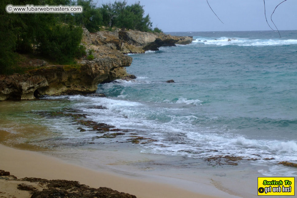 GoodGirl & Baddog's Hawaii Photos