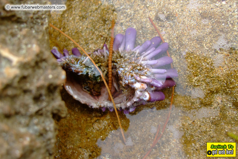 GoodGirl & Baddog's Hawaii Photos