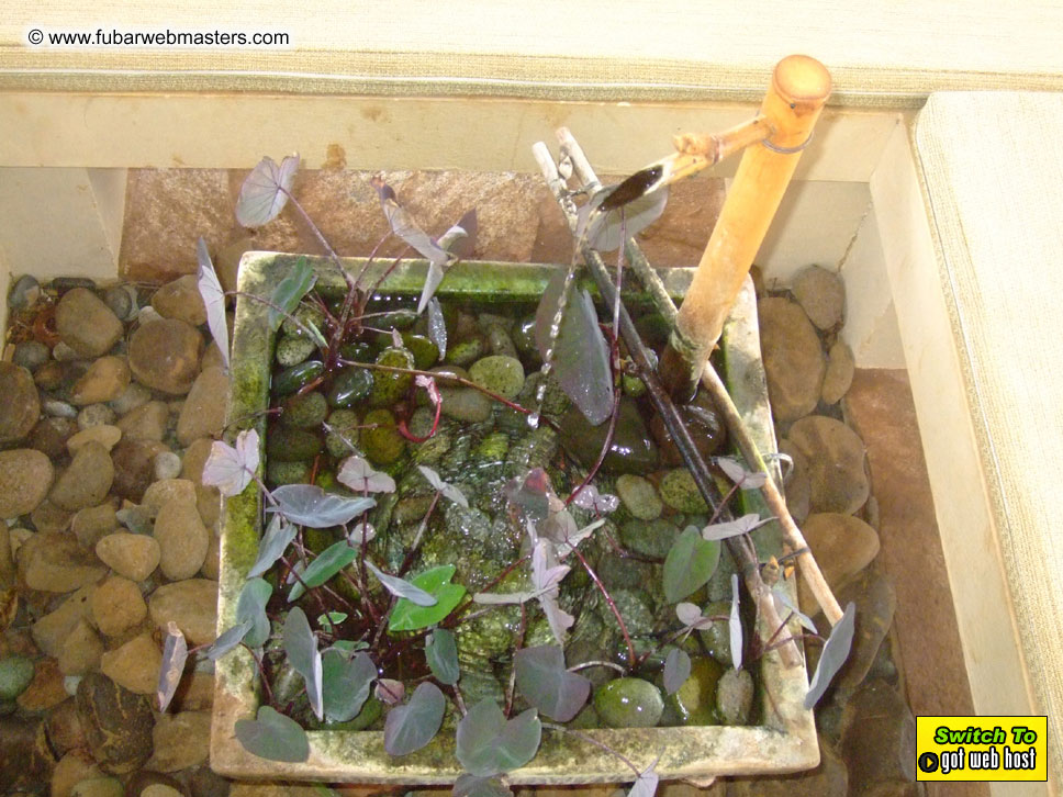 GoodGirl & Baddog's Hawaii Photos