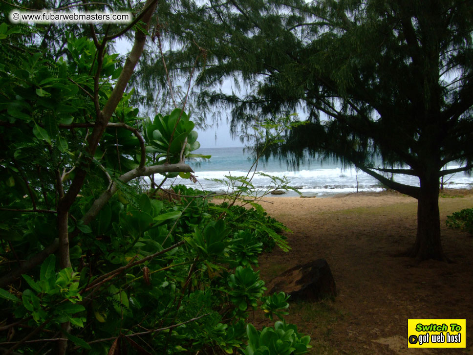 GoodGirl & Baddog's Hawaii Photos